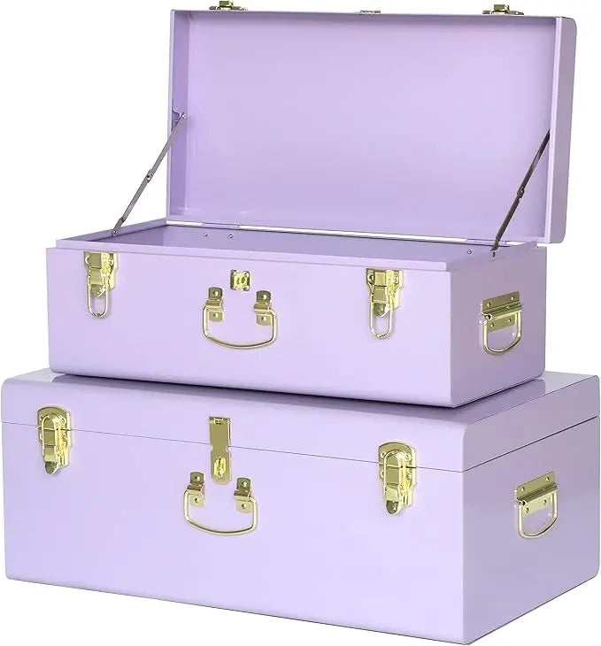 XMSJ Decorative Metal Box Storage Trunks Set Of Two