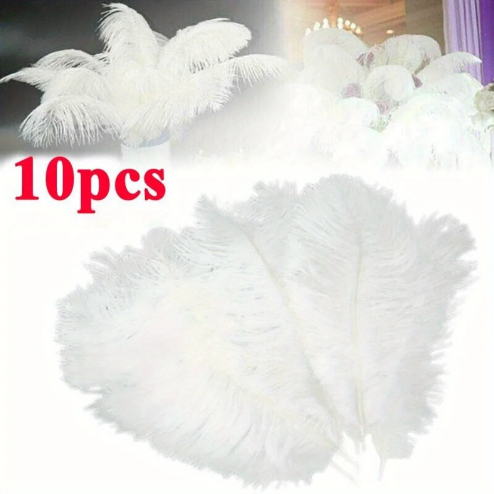 CN Zhejiang Ostrich Feather Centerpiece Decor 10 Pieces
