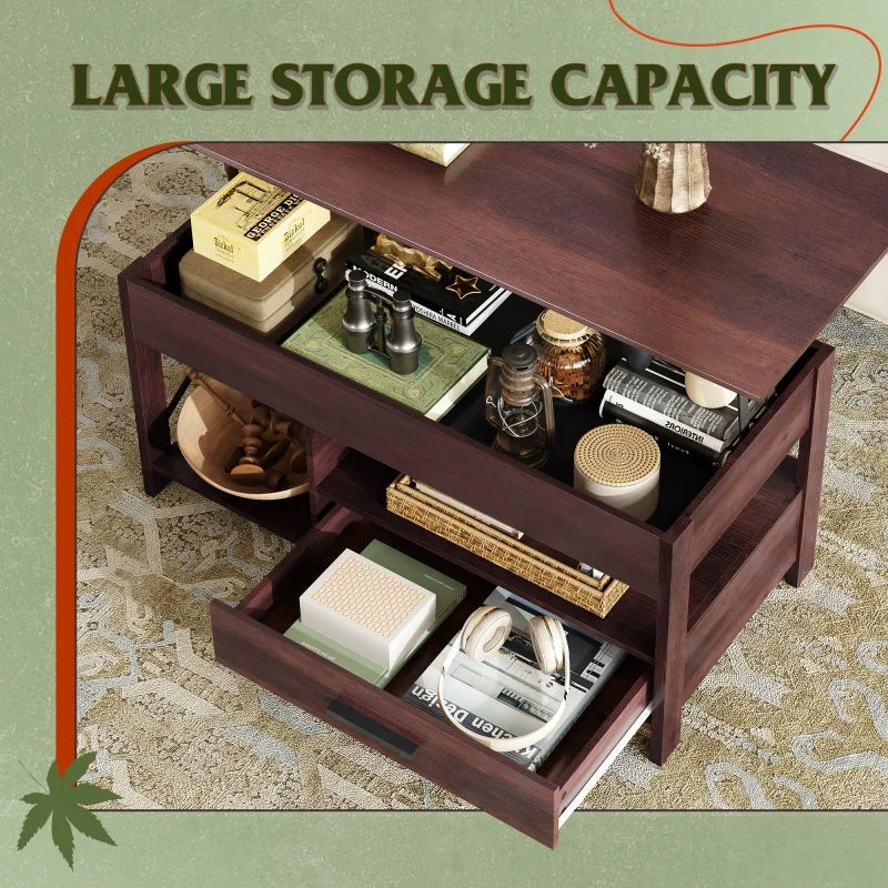 Galaxher Lift Top Coffee Table With Hidden Storage