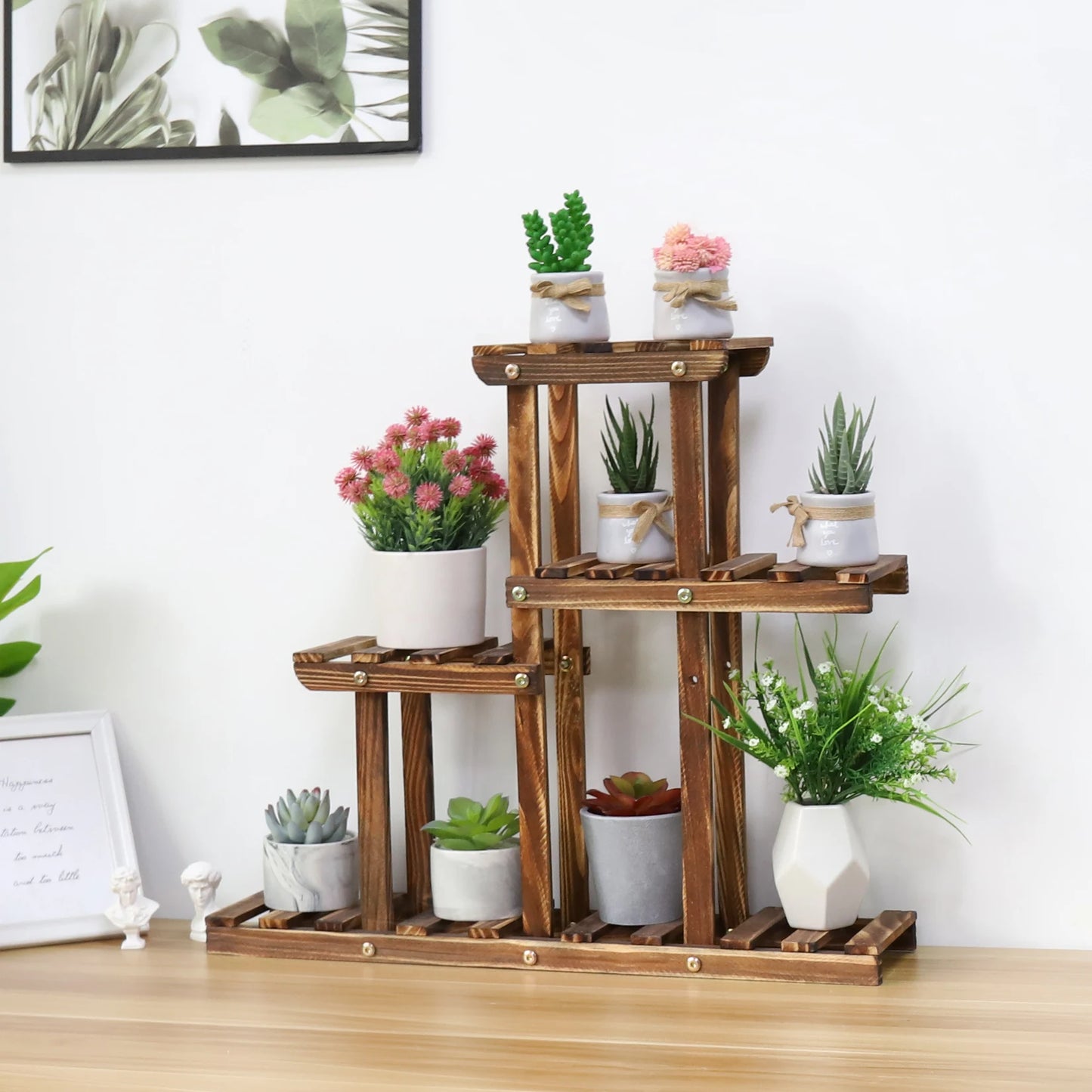BINGOPAW Carbonized Wood Plant Stand Four Tier Succulent Rack