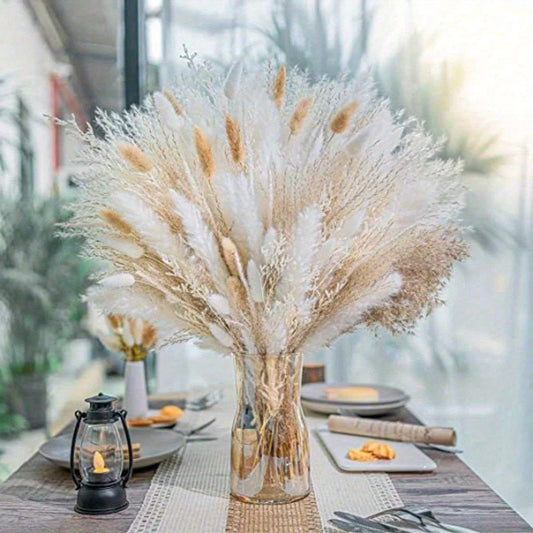 Zhejiang Pampas Grass Bouquet Natural Dried Decor Accent