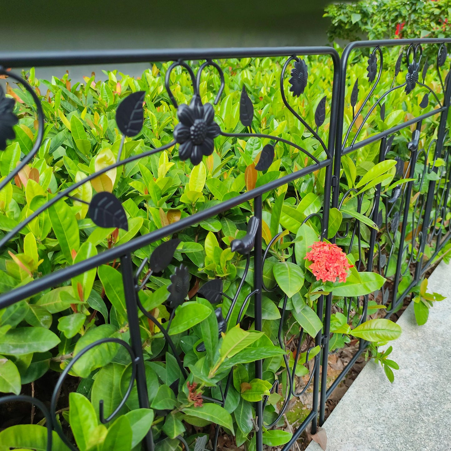 Powder Coated Iron Garden Fence Panel 5 Pack Border