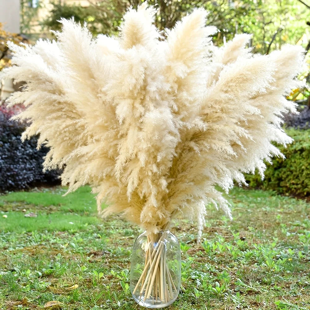 NONECN Dried Pampas Grass Decor 16Pcs Boho Neutral Bouquet