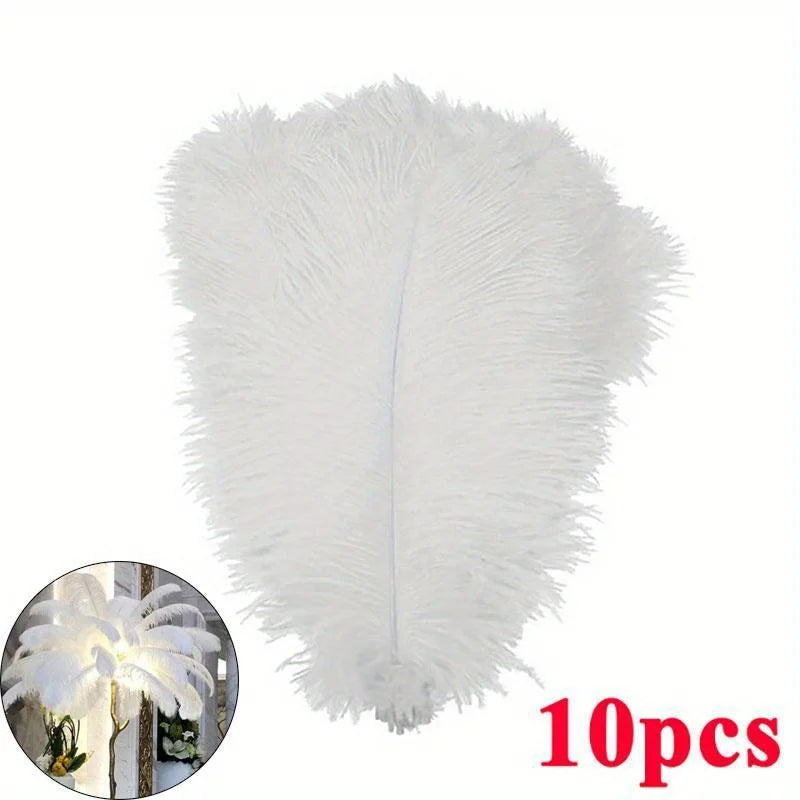 CN Zhejiang Ostrich Feather Centerpiece Decor 10 Pieces