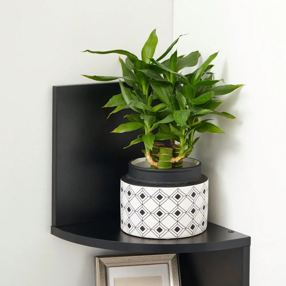 XMSJ Corner Shelf Wall Mount 5-Tier Floating Bookshelf