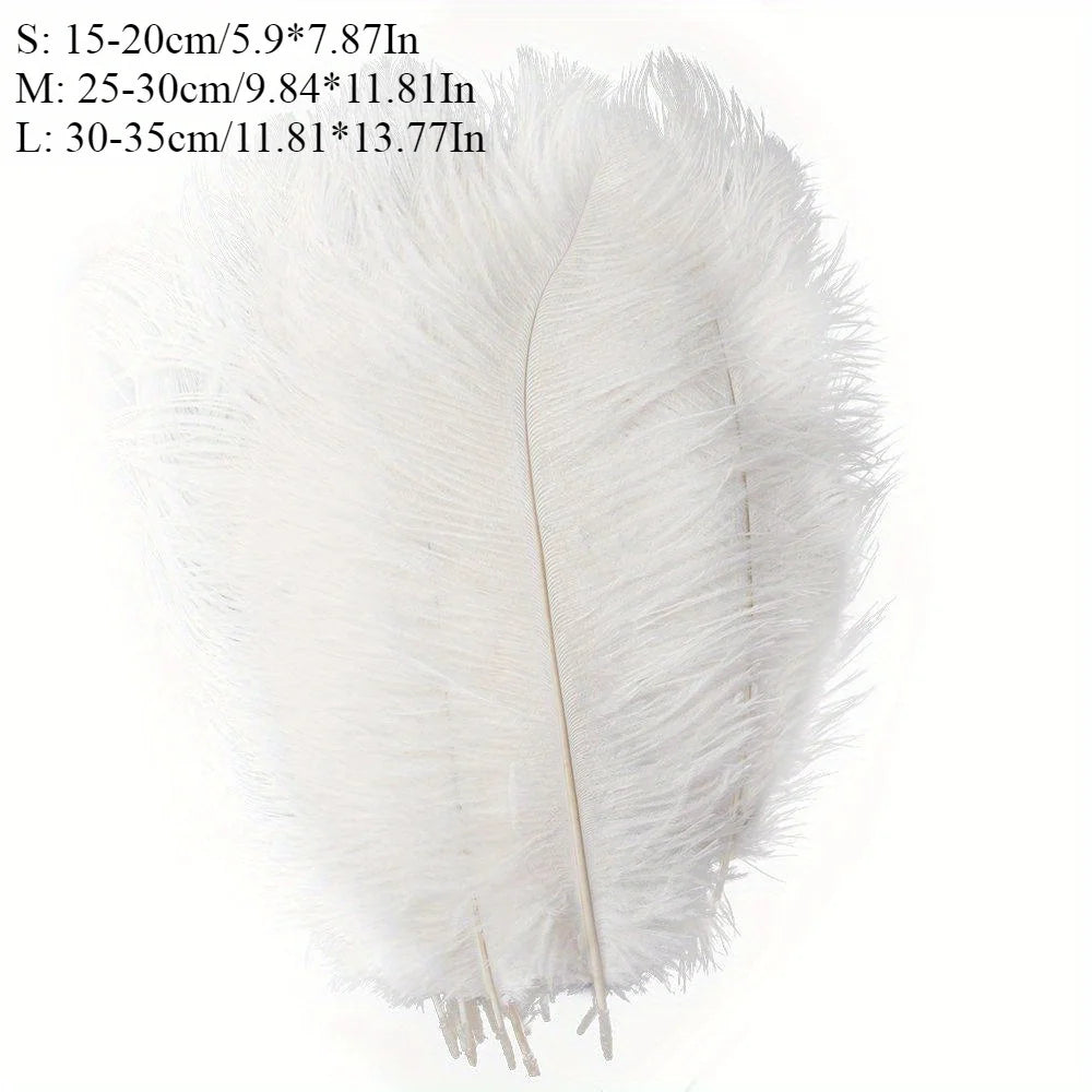 CN Zhejiang Ostrich Feather Centerpiece Decor 10 Pieces