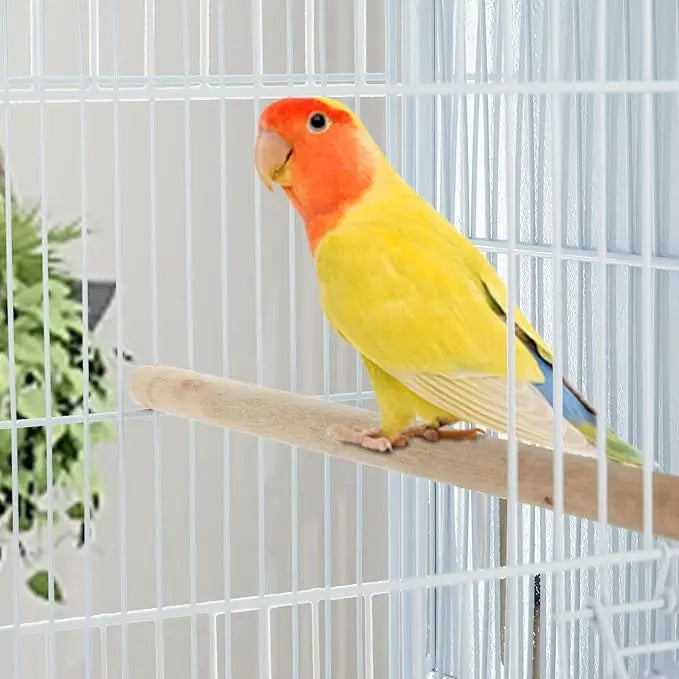 HiMISSCN Parrot Playstand With Wheels And Perches Ladders