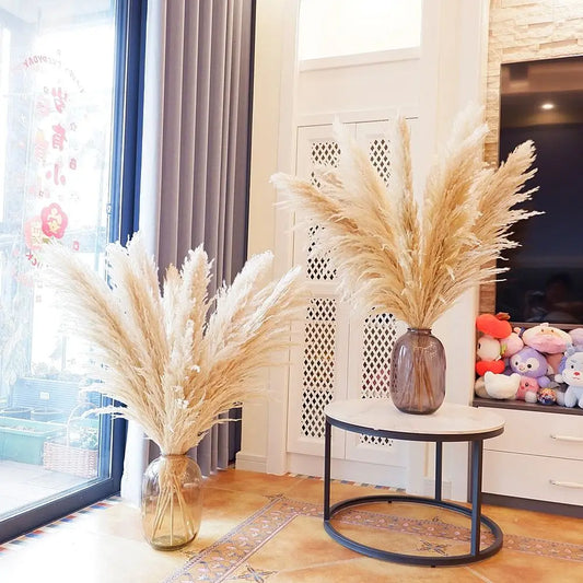 NONECN Dried Pampas Grass Decor 16Pcs Boho Neutral Bouquet