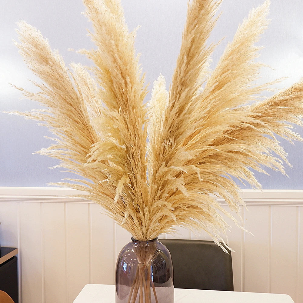 NONECN Dried Pampas Grass Decor 16Pcs Boho Neutral Bouquet