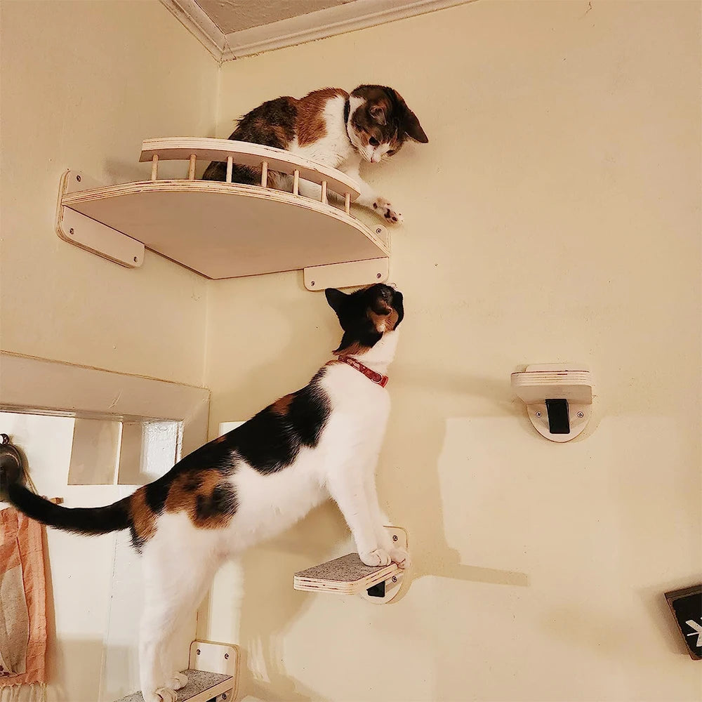 PETRAVELCN Cat Climbing Shelf Wall Mounted Scratching Post