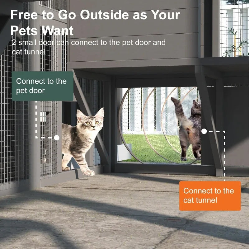 Hign-concerned Outdoor Cat Enclosure Large Walk In Cage