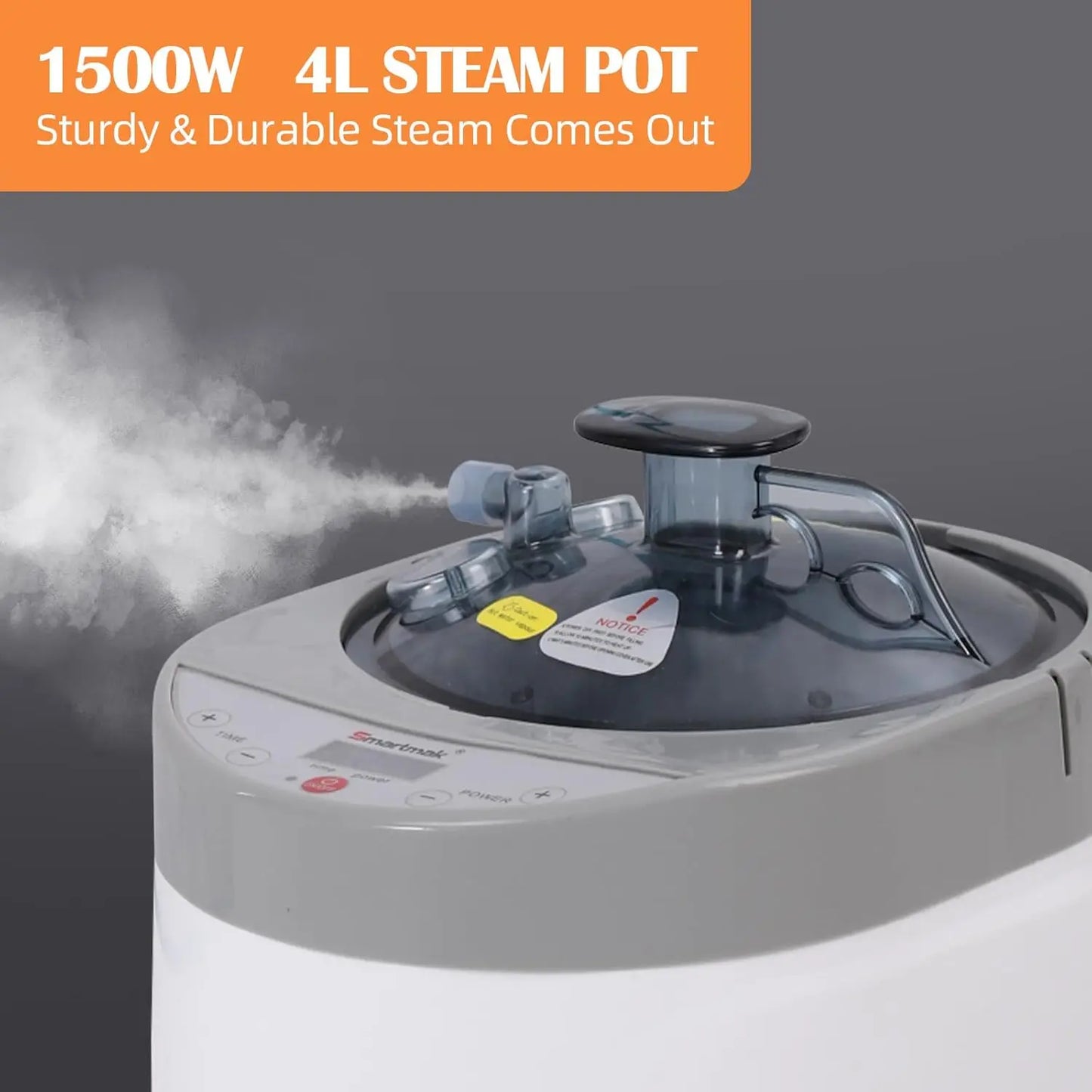 Smartmak Sauna Steamer Portable Steam Generator With Herbal Box
