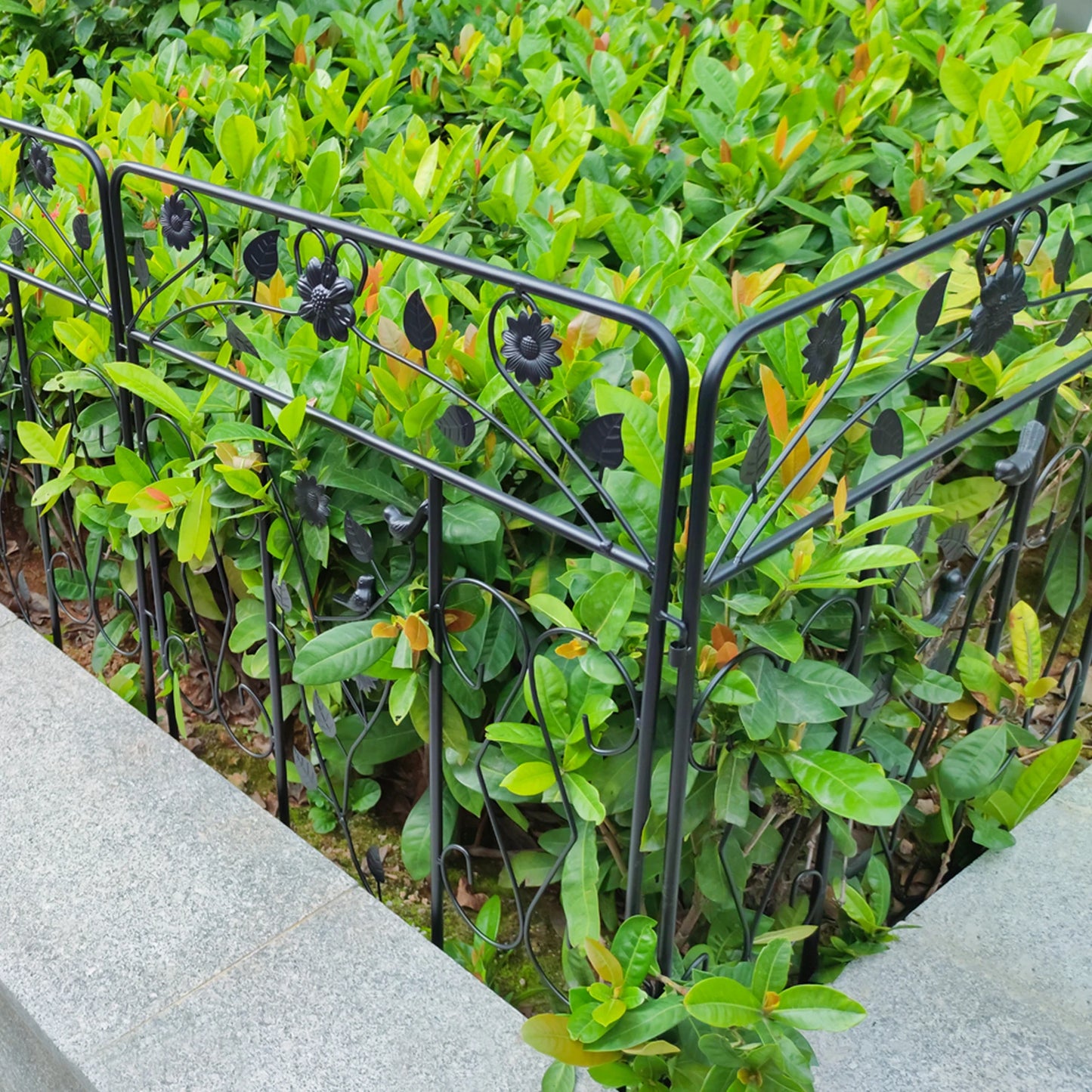 Powder Coated Iron Garden Fence Panel 5 Pack Border