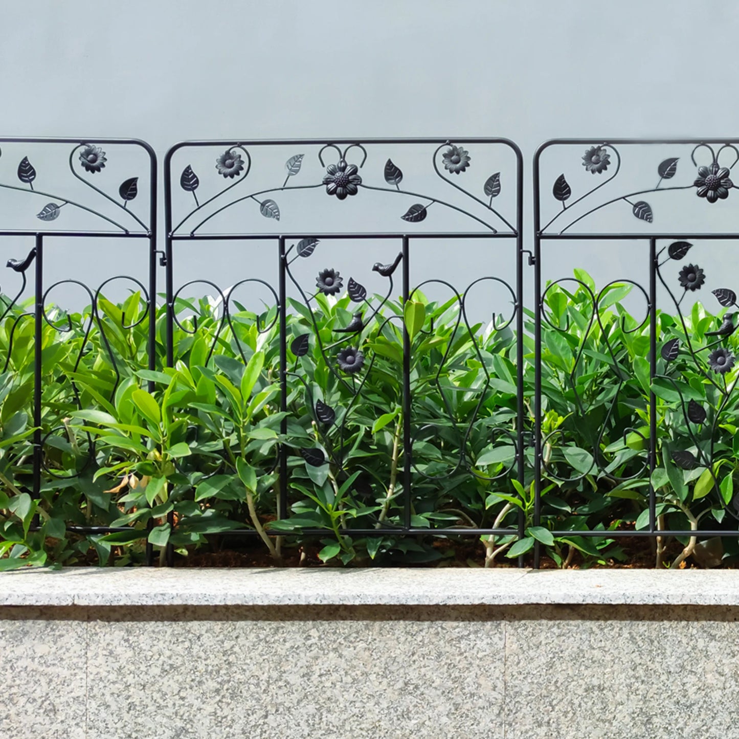 Powder Coated Iron Garden Fence Panel 5 Pack Border