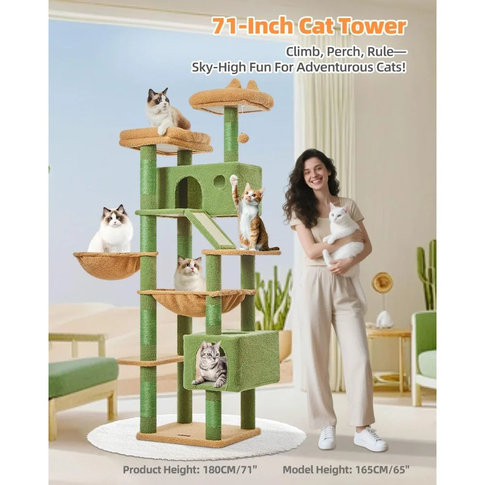 Taoqimiao 71 Inch Multi Level Cactus Cat Tree for Large Indoor Cats